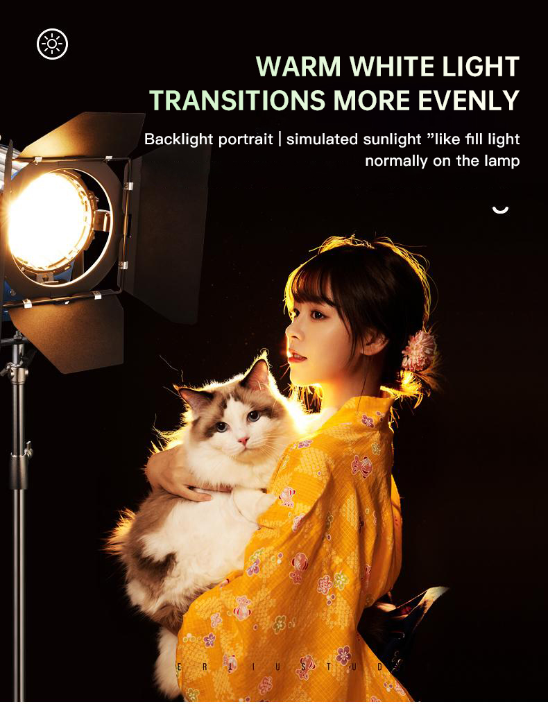 Beiyang 2000W الأضواء الشعر ضو - مراجعة Portrait Photography With Lighting وسعره
